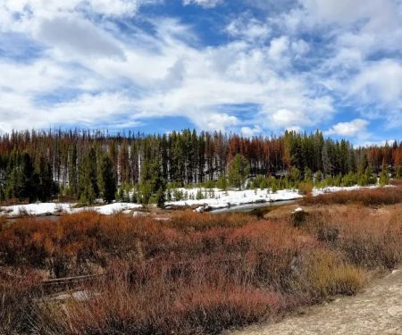 May Creek Campground