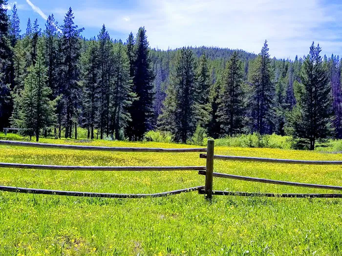 May Creek Campground Picture 5