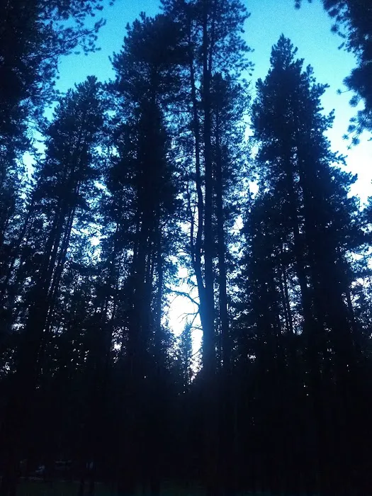 May Creek Campground Picture 3