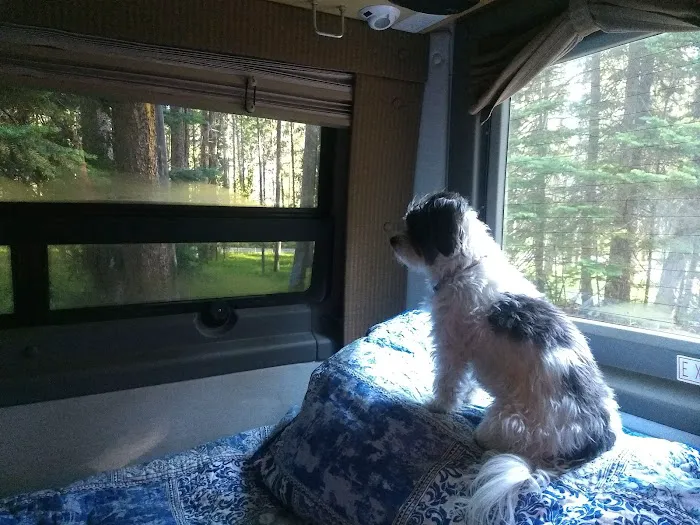 May Creek Campground Picture 8
