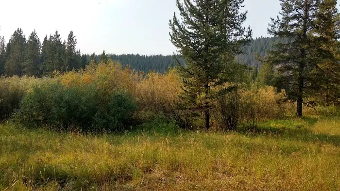May Creek Campground Picture 7