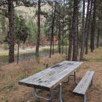 Shiefer Campground