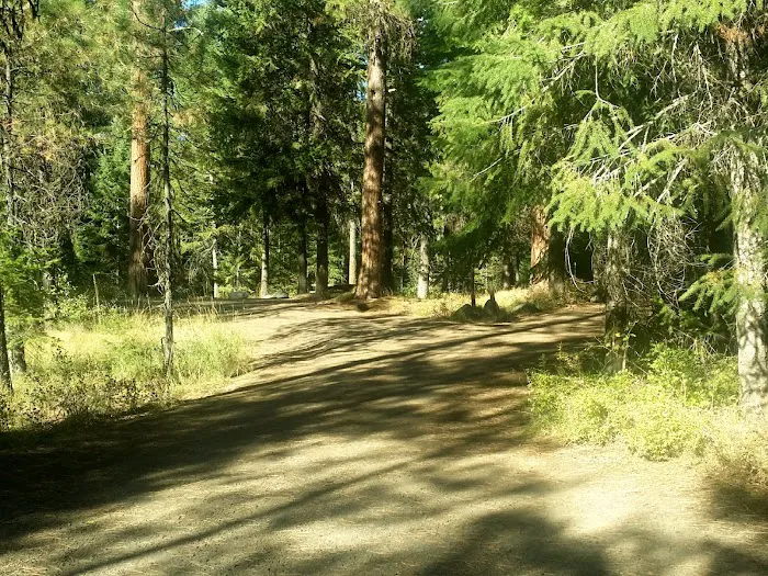 Blackhorse Campground Picture 8