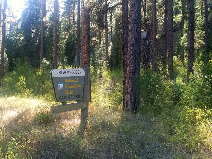 Blackhorse Campground Picture 9