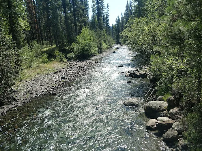 Ollokot Campground Picture 2