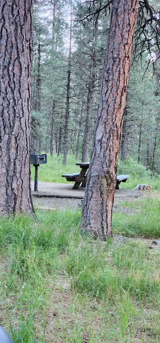 Ollokot Campground Picture 9