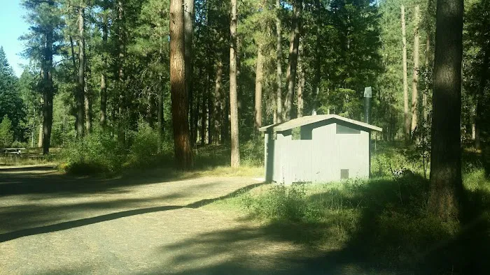 Ollokot Campground Picture 7
