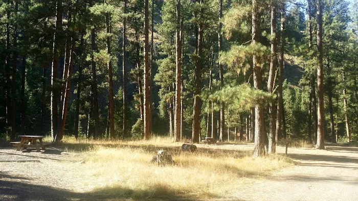 Ollokot Campground Picture 5