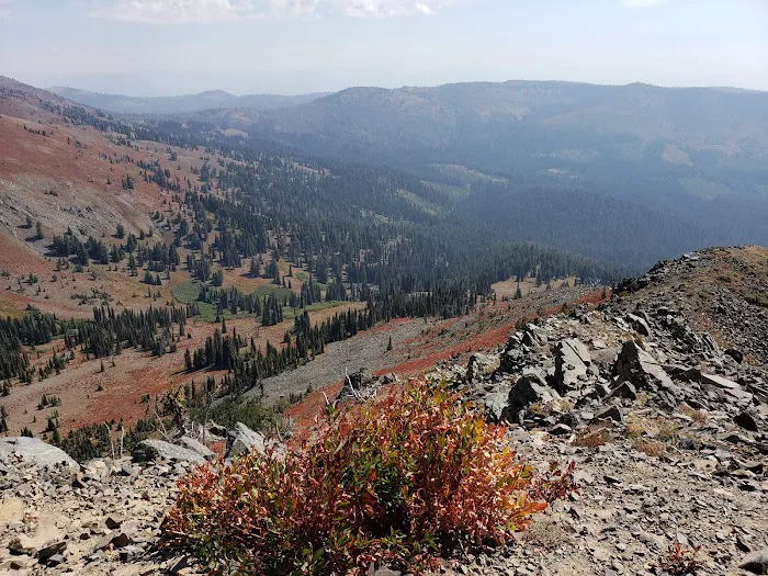 Huckleberry Campground Picture 6