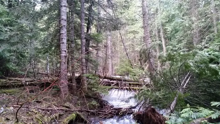Huckleberry Campground Picture 9