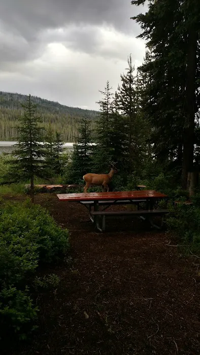 UPPER PAYETTE LAKE CAMPGROUND Picture 2
