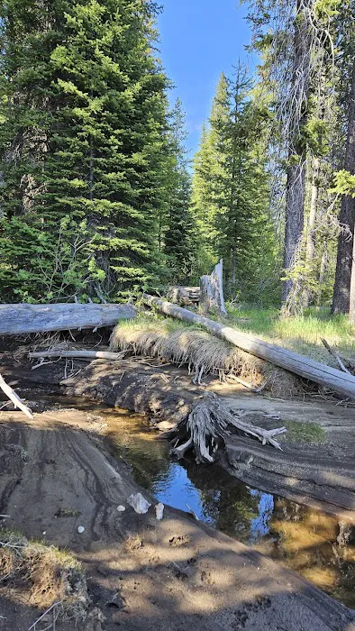 UPPER PAYETTE LAKE CAMPGROUND Picture 8