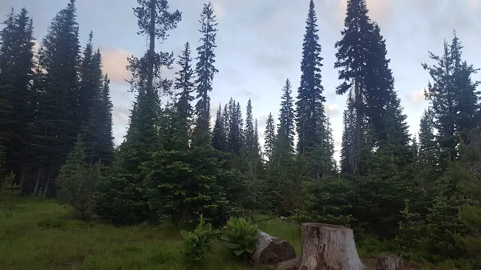 Grouse Campground Picture 8