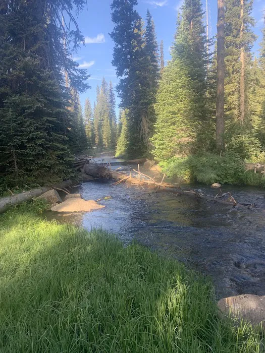 Grouse Campground Picture 5