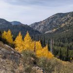 Grouse Group Picnic Site (recgovnpsdata)