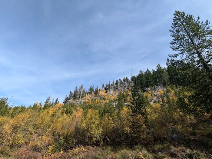 Grouse Group Picnic Site (recgovnpsdata) Picture 5