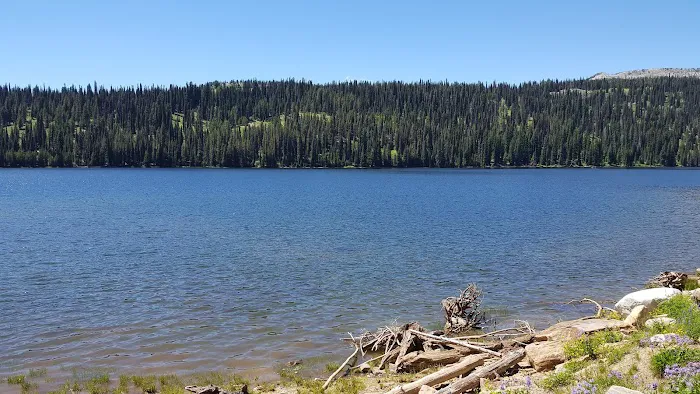 Grouse Group Picnic Site (recgovnpsdata) Picture 3