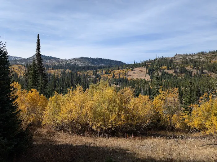 Grouse Group Picnic Site (recgovnpsdata) Picture 8