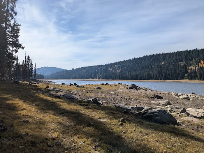 Grouse Group Picnic Site (recgovnpsdata) Picture 2