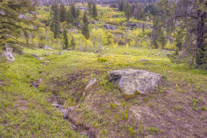 Black Lee Campground Picture 1