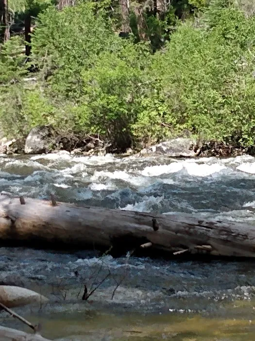 Ponderosa Campground Picture 2