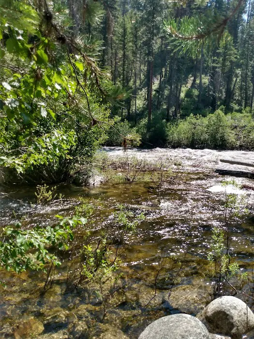 Ponderosa Campground Picture 5