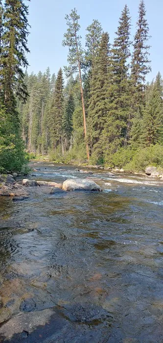 Ponderosa Campground Picture 4