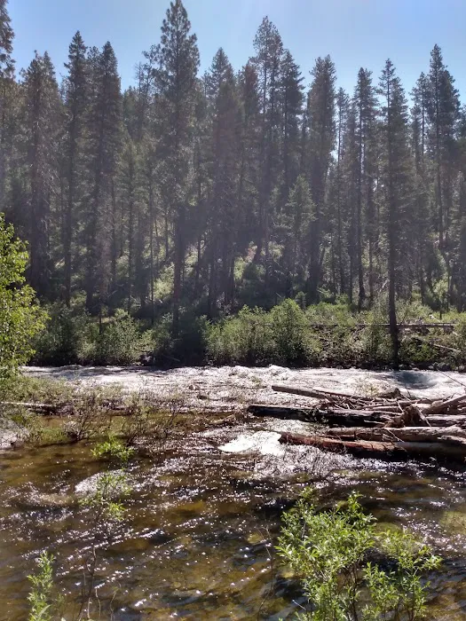 Ponderosa Campground Picture 7