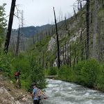 Ponderosa Campground
