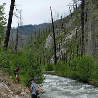 Ponderosa Campground ico