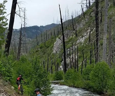Ponderosa Campground
