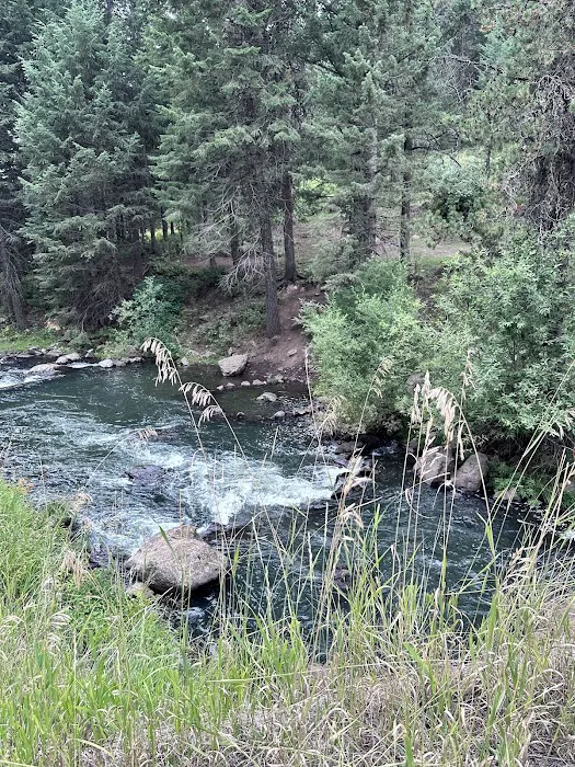 Lost Valley Reservoir Camping Area Picture 3