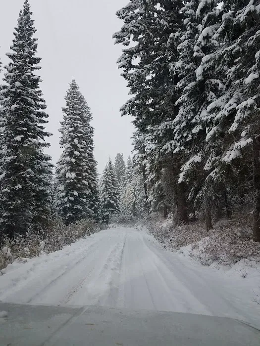 Lost Valley Reservoir Camping Area Picture 5