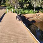 Lost Valley Boat Launch (recgovnpsdata)