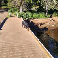 Lost Valley Boat Launch (recgovnpsdata) ico