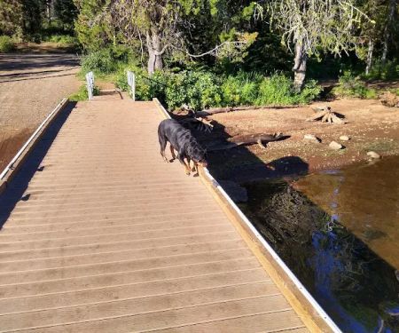 Lost Valley Boat Launch (recgovnpsdata)