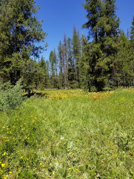 COLD SPRINGS CAMPGROUND Picture 5