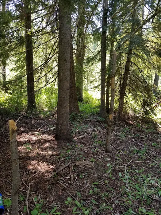 COLD SPRINGS CAMPGROUND Picture 10