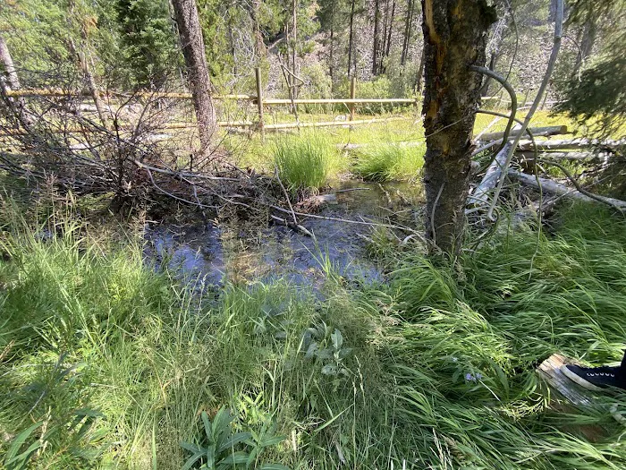 Big Creek Campground Picture 3