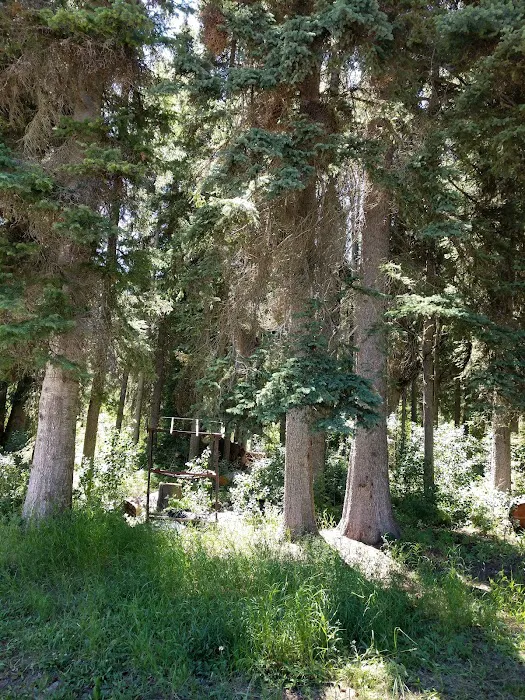 Big Creek Campground Picture 9