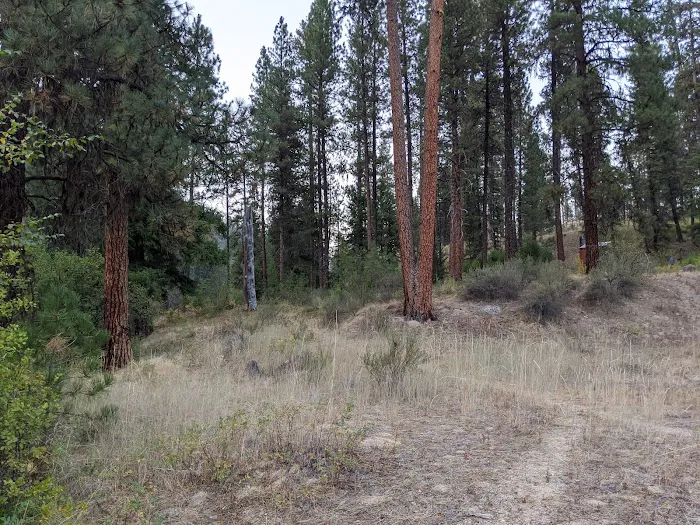 Teepee Creek Campground Picture 2