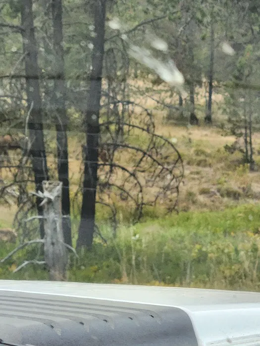 Emigrant Springs Campground Picture 3