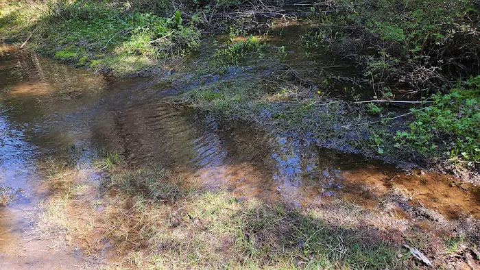 Emigrant Springs Campground Picture 6