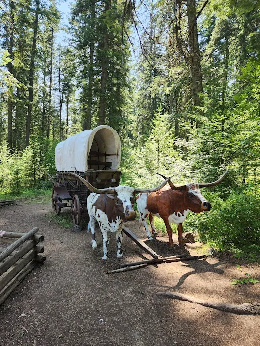 Emigrant Springs Campground Picture 4