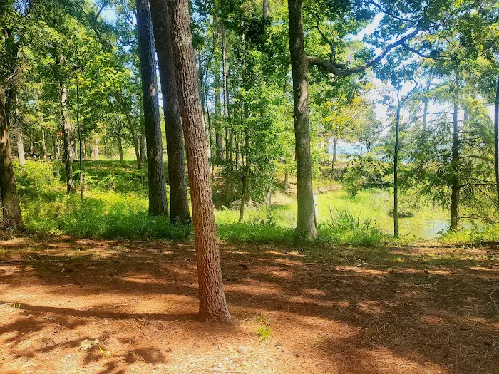 Indian Mounds Campground - Sabine National Forest Picture 2