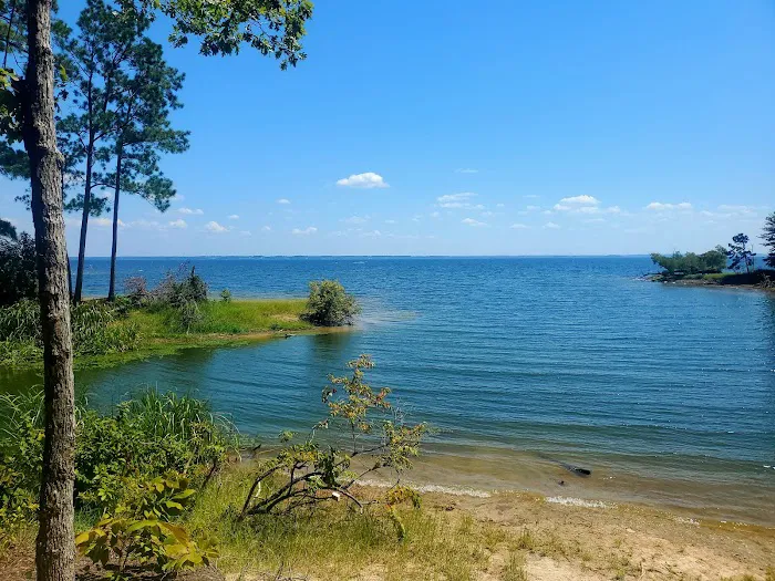 Indian Mounds Campground - Sabine National Forest Picture 4
