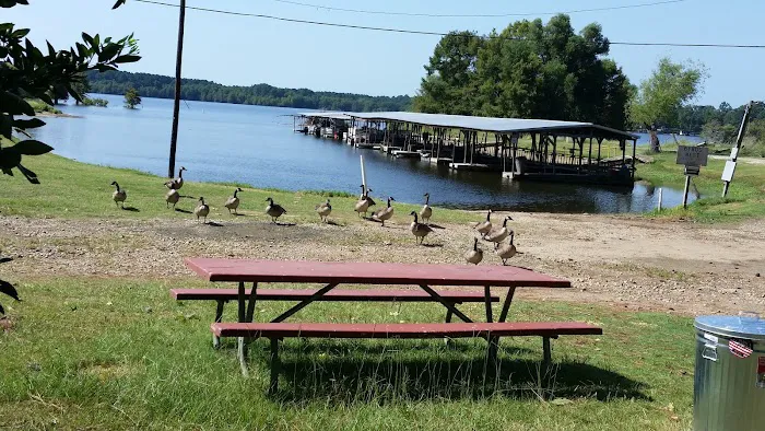 The Byrd's Nest RV Park & Cabins Picture 7