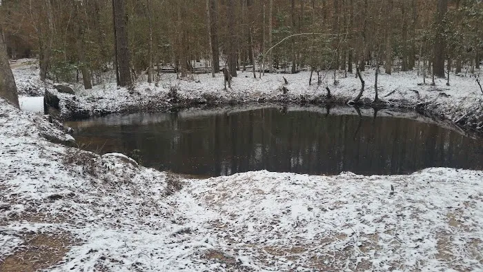 Beef Trail Campground Picture 6