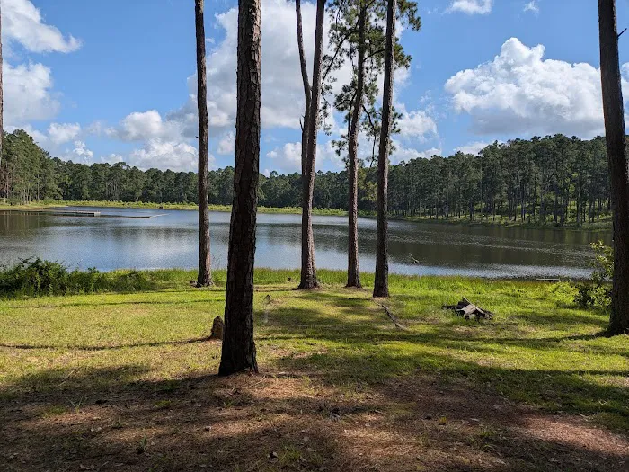 Red Hill Lake Campground - Sabine National Forest Picture 8