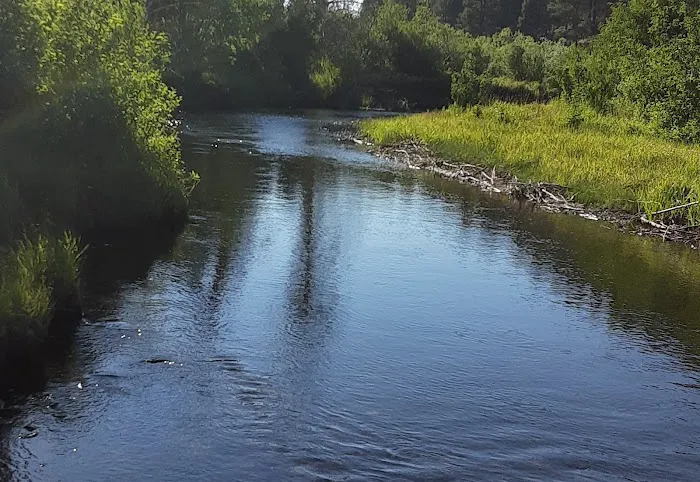 Dairy Creek Campground Picture 10